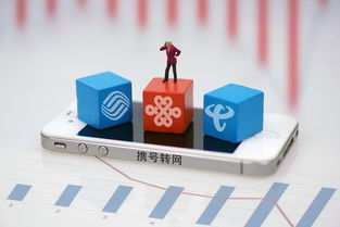 上海市民可到三家營業廳辦理攜號轉網，附轉網最詳攻略及基礎電信業務解析